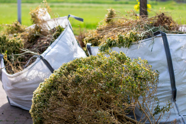 Reliable Cupertino, CA Junk Removal Solutions